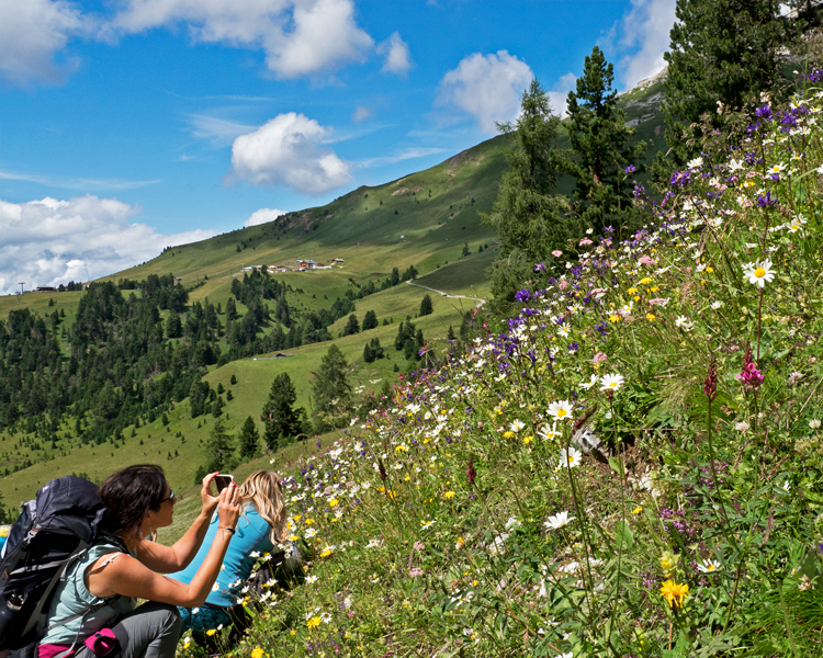 Val di Fiemme - Respirart © Claudia Zanin 