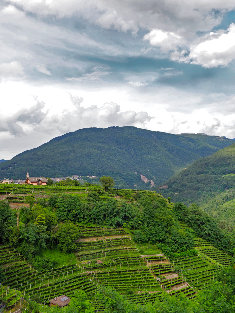 Het wijngebied Valle di Cembra