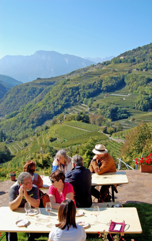 Val di Cembra Wine trekking gourmet